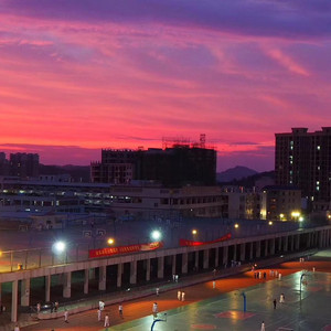 国产精品视频成人
