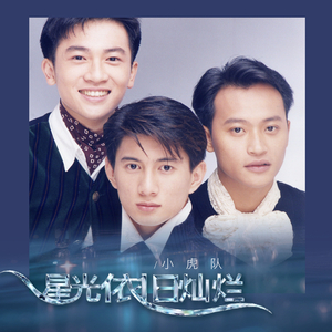 国产精品视频成人
