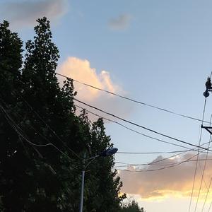 国产精品视频成人
