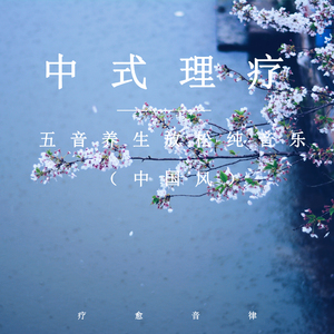 国产精品视频成人
